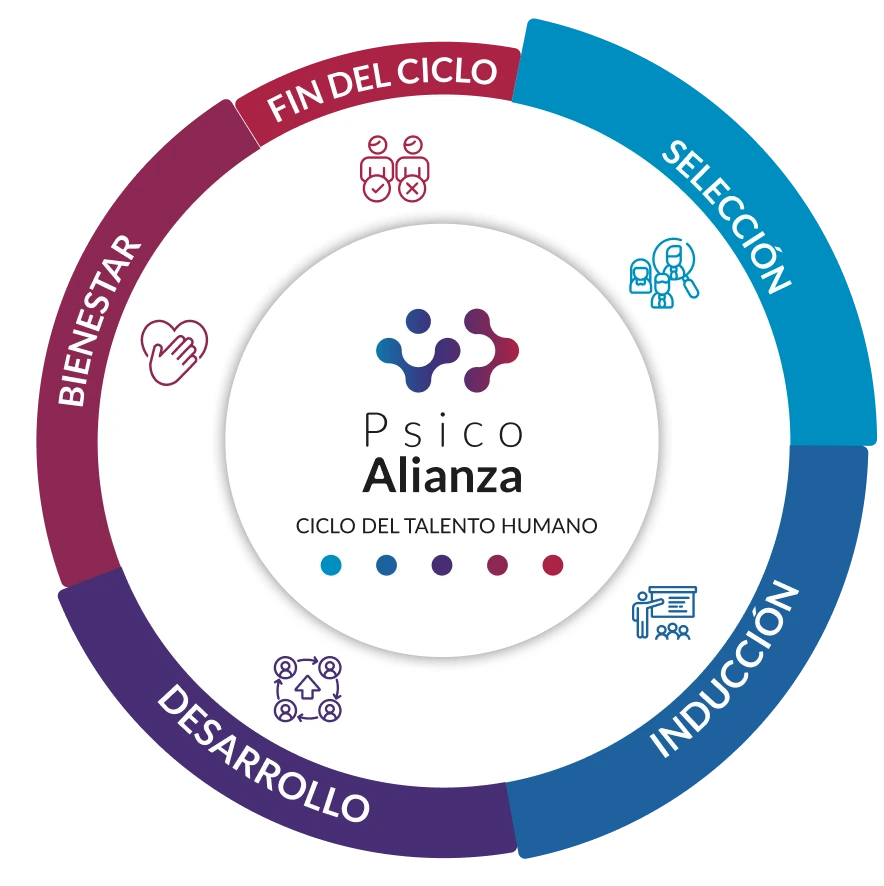 ciclo-talento-humano-psicoalianza